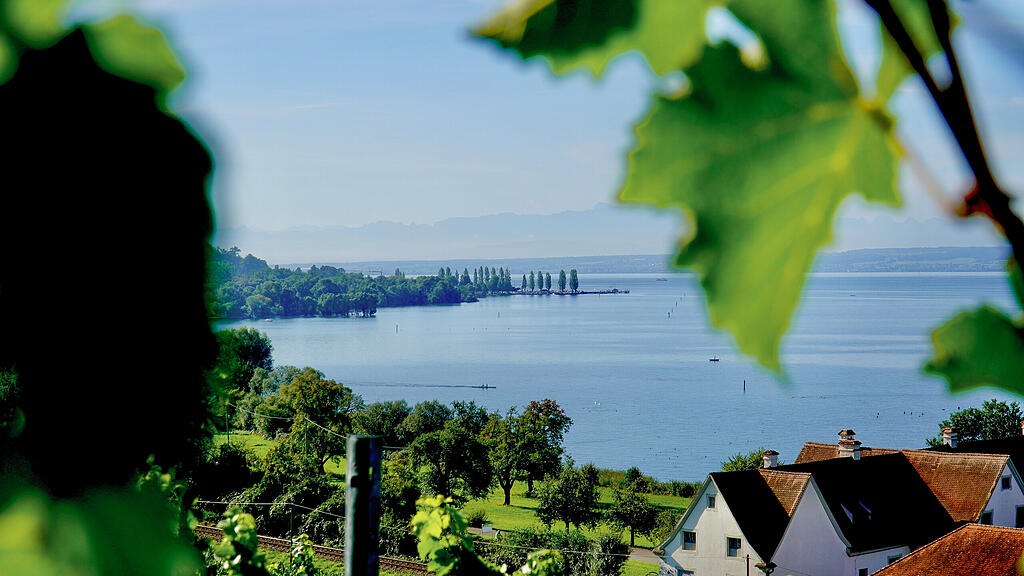 Blick durch Weinblätter von der Basilika Birnau auf den Bodensee