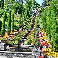 Bunt bewachsene Treppe auf der Insel Mainau