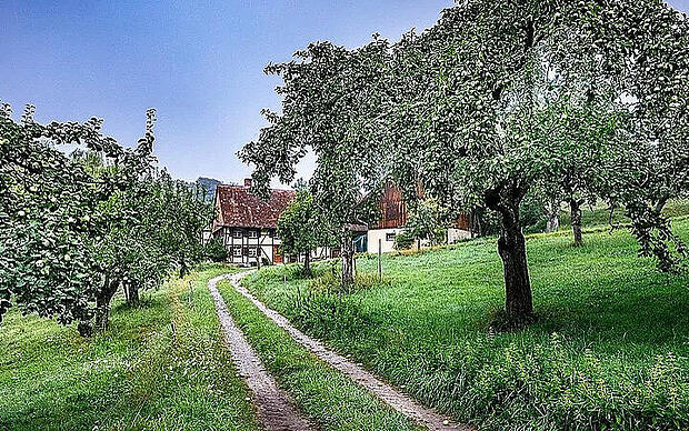 Spiritueller Wanderweg entlang der Bildstöcke Wiesentälchen