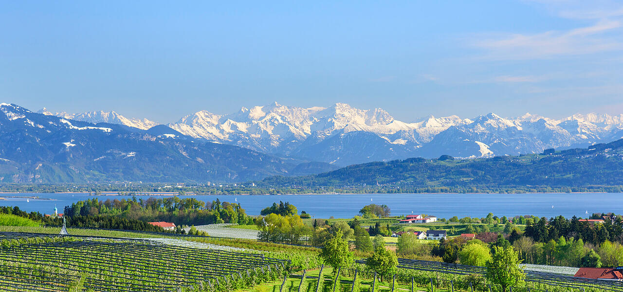 Obstbau-Landschaft am Bodensee mit Blick auf den See und die verschneite Alpenkette