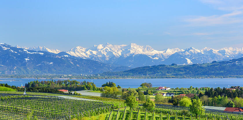 Natur erleben am Bodensee