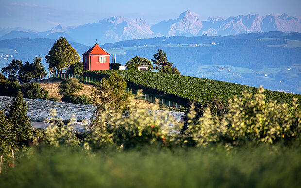 Alles, was Hagnau zu bieten hat Landschaft