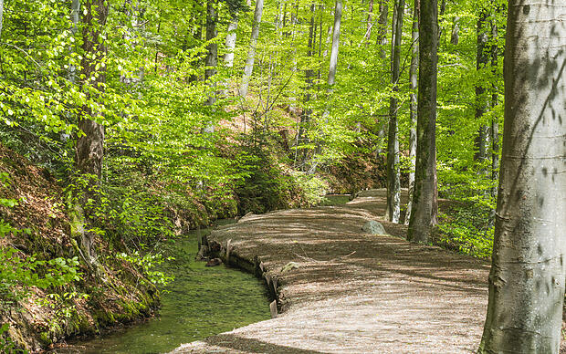 Der Wanderpfad am Stillen Bach Natur genießen