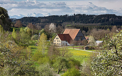 Bauernhaus-Museum Wolfegg