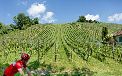 Wasser, Wein, Barock Erlebnisweg