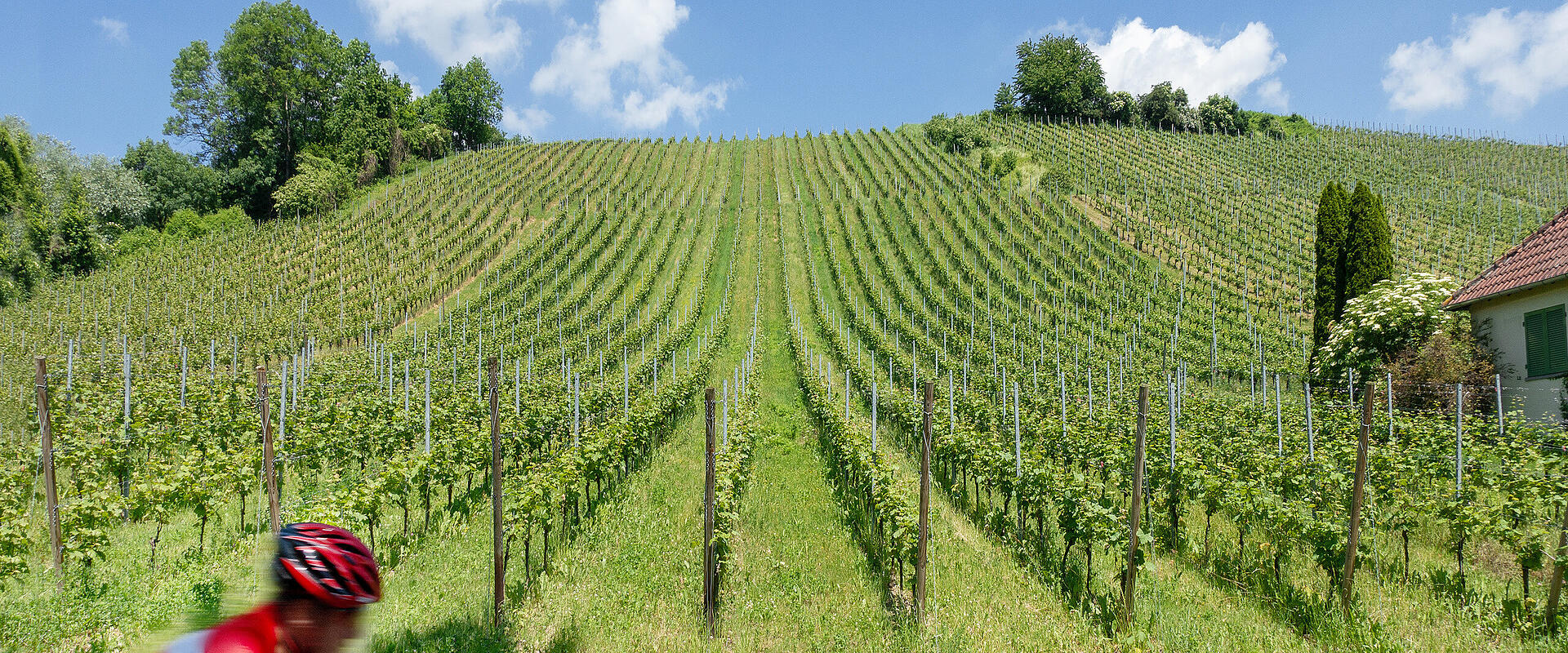Wasser, Wein, Barock Erlebnisweg