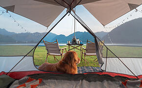 Camping mit Hund