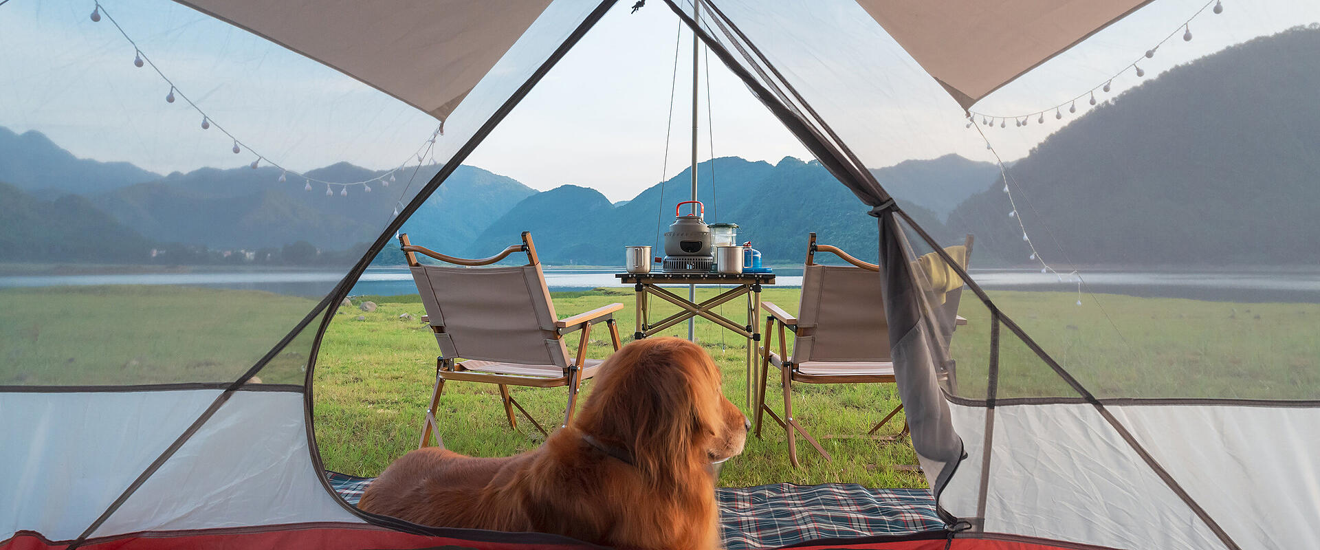 Camping mit Hund