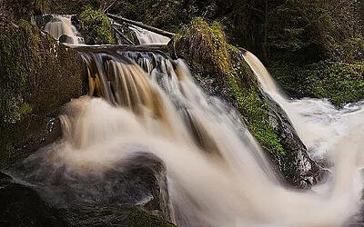 Genießerpfad Rötenbachschlucht