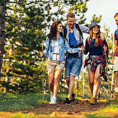 Freundesgruppe bei einer Wanderung durch ein offenes Waldgebiet