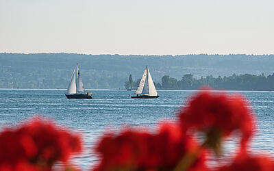 Segeln lernen rund um den Bodensee Segeln lernen rund um den Bodensee