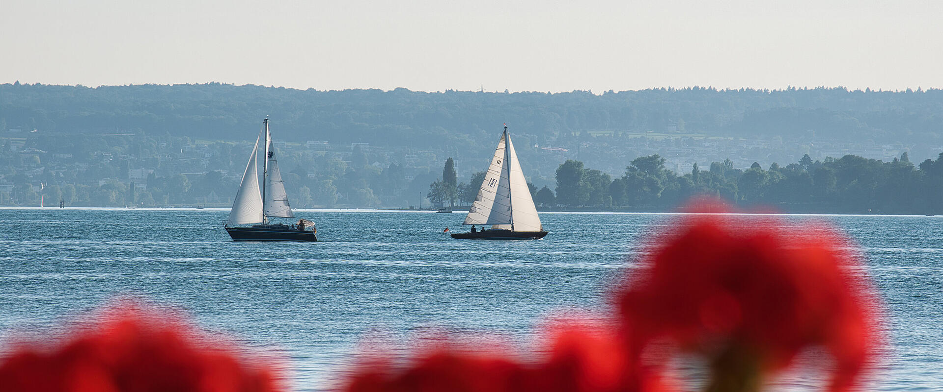 Segeln lernen rund um den Bodensee Segeln lernen rund um den Bodensee