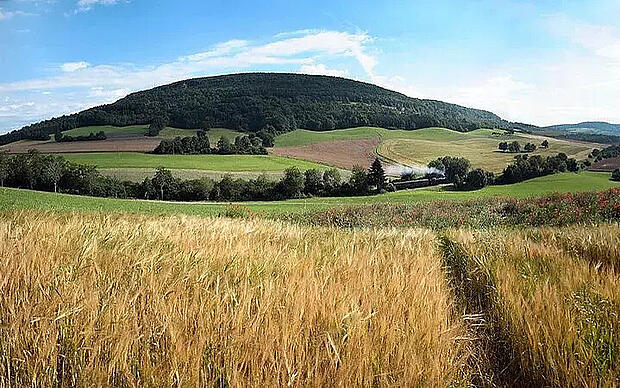 Kunst, Kultur und Entspannung in Wittenhofen Landschaft