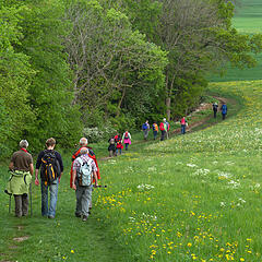 Wandergruppe auf einem Wanderweg