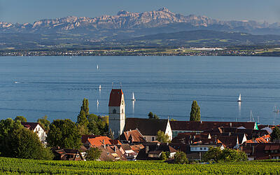 Wellen, Wein und Obst in Hagnau