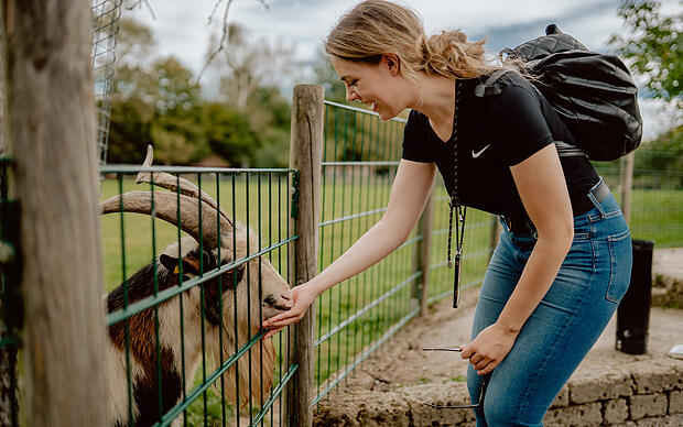 Junge Frau füttert Ziegenbock im Tierpark