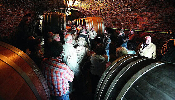 Weinprobe im Kellergewölbe