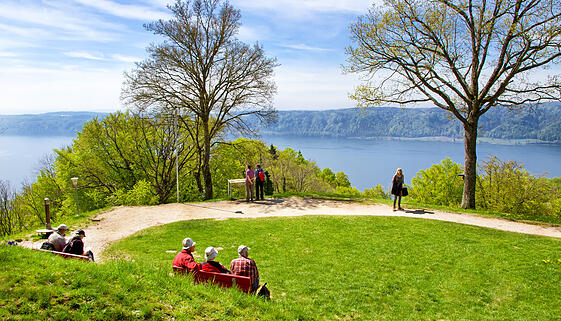 Aussicht vom Haldenhof auf den Bodensee
