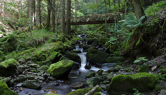 Holzbrücke über einen wilden Fluss in der Ravennaschlucht Holzbrücke über einen wilden Fluss in der Ravennaschlucht