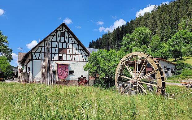 Wandern und Radfahren im Donaubergland