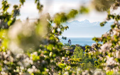 Entdecke unsere Ferienzeitungen