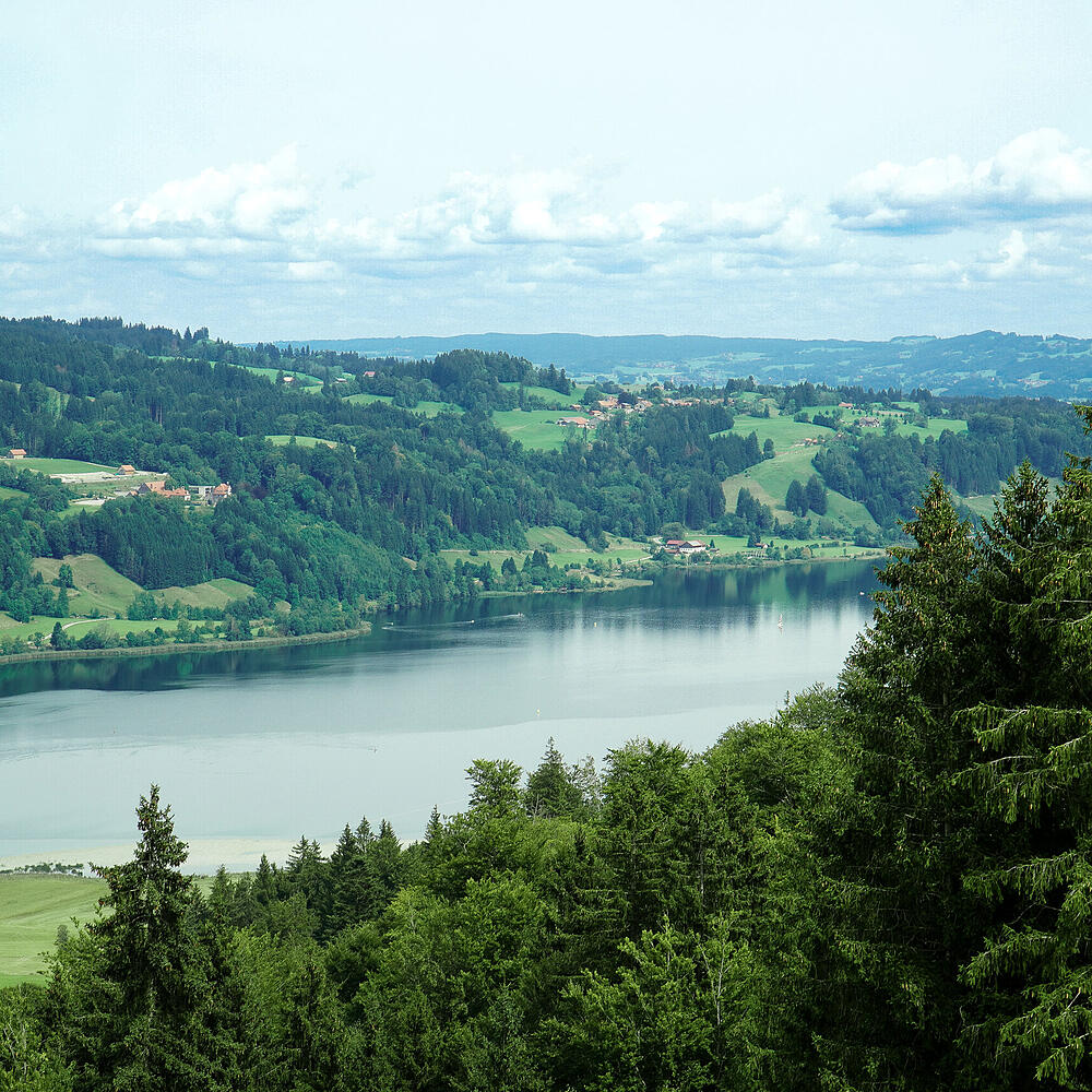 Aussicht auf einen See und die Berge im Allgäu in der Nähe des Bodensees