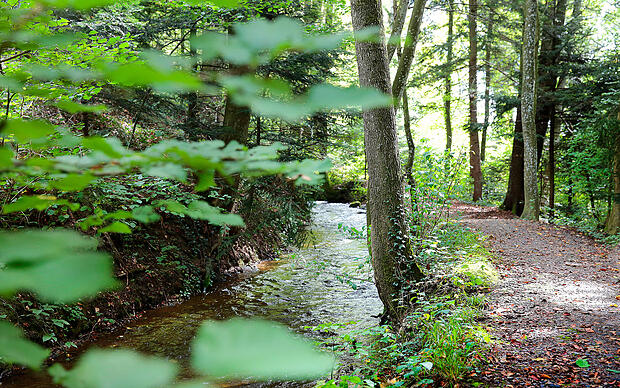 Wandern am Stillen Bach