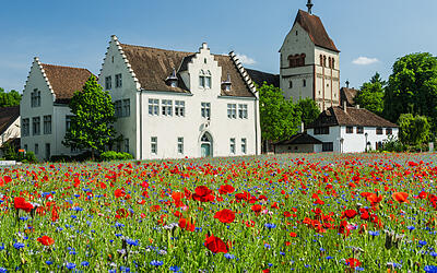 Münster St. Maria und Markus und blühendes Mohnfeld auf der Insel Reichenau