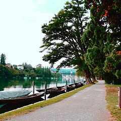 Rheinufer mit Parkanlage und Booten am Rhein in Schaffhausen