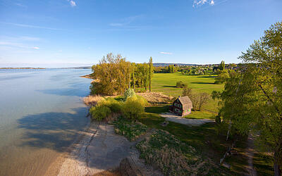 Naturschutzgebiete am Bodensee