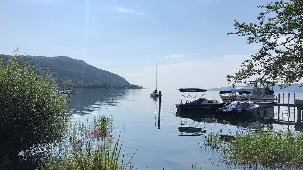 Aussicht auf den Bodensee vom Ufer in Bodman-Ludwigshafen