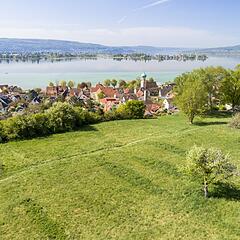 Aussicht vom Höhrenberg auf Allensbach und den Untersee