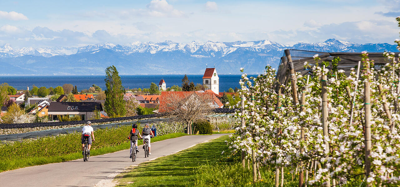 Radfahren am Bodensee