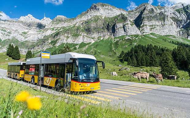 Unterwegs mit dem Bus