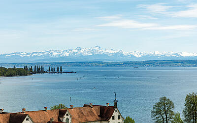Typische Fehler am Bodensee