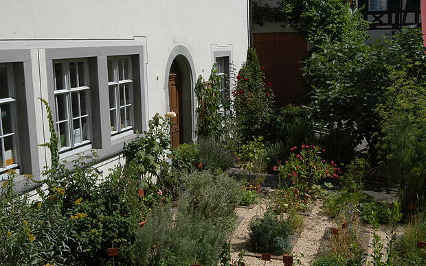 Bibel- und Kräutergarten Paradiesische Pflanzen