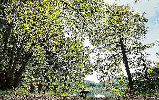 Von der Basilika zum stillen Bach Wanderweg