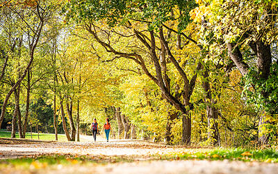 bwegt Wanderweg Quellregion Donau
