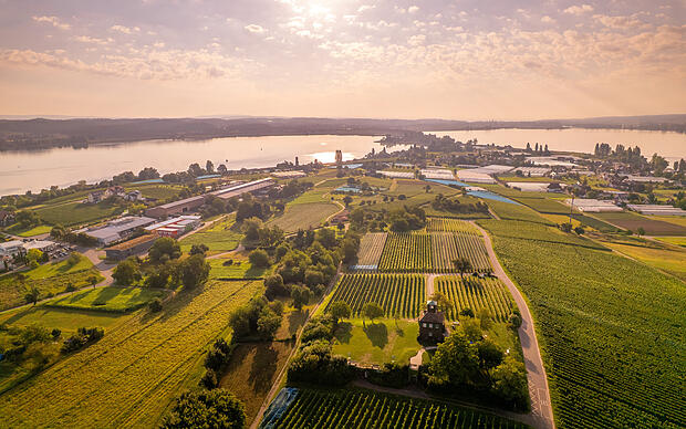 Insel Reichenau