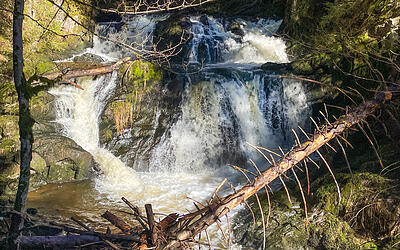 Wandern in der Wutachschlucht