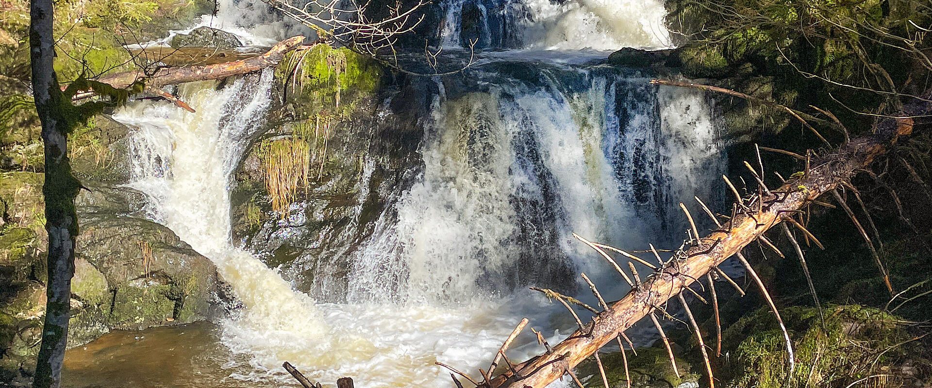 Wandern in der Wutachschlucht