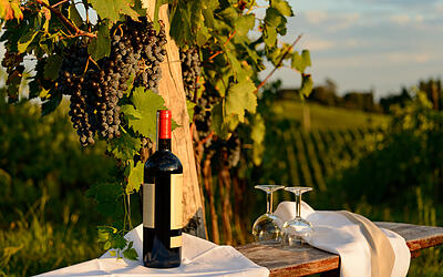 Wein erleben am Bodensee Wein erleben am Bodensee
