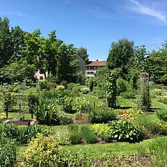 Begrünter Botanischer Garten in St. Gallen