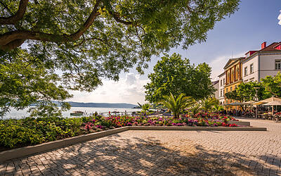 Blühende Pflanzen im Sommer an der Uferpromenade in Überlingen mit Bodenseeblick