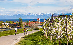Radfaherer auf einer Tour mit Blick auf Immenstaad am Bodensee