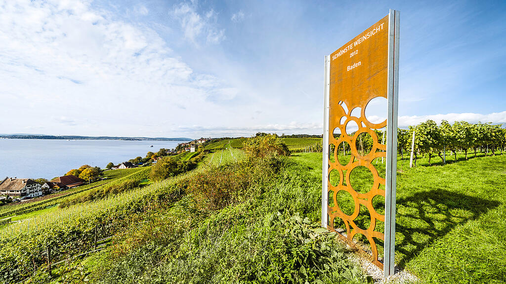 Aussicht von den Weinreben auf Meersburg und den Bodensee Aussicht von den Weinreben auf Meersburg und den Bodensee