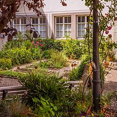 Innenhof und Kräutergarten der Bibelgalerie Meersburg Innenhof und Kräutergarten der Bibelgalerie Meersburg