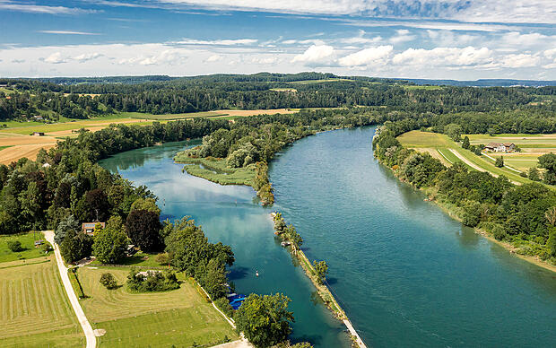 Orchideen und Enzian im Aargau