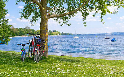 Untersee und Überlinger See Rundfahrt