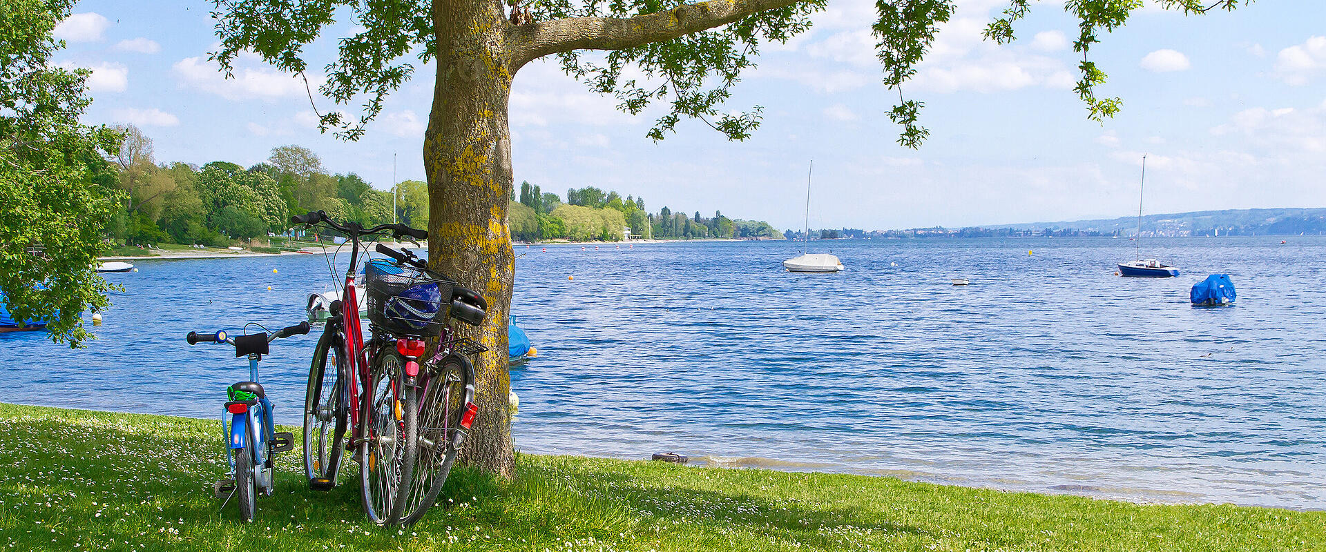 Untersee und Überlinger See Rundfahrt